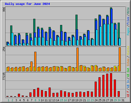 Daily usage for June 2024