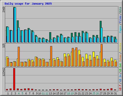 Daily usage for January 2025