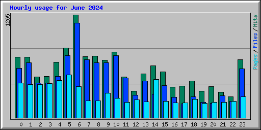 Hourly usage for June 2024