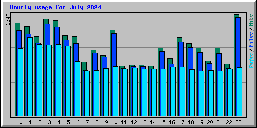 Hourly usage for July 2024