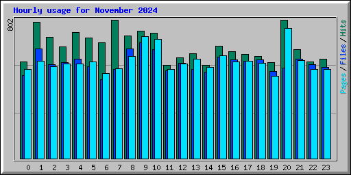 Hourly usage for November 2024