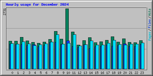 Hourly usage for December 2024