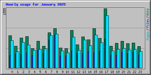 Hourly usage for January 2025