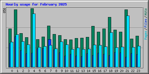 Hourly usage for February 2025