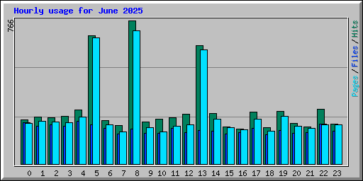 Hourly usage for June 2025