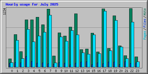 Hourly usage for July 2025