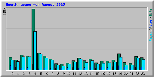 Hourly usage for August 2025