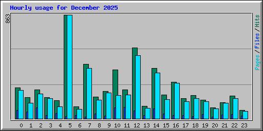 Hourly usage for December 2025
