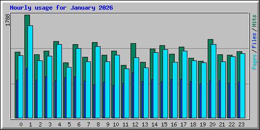 Hourly usage for January 2026