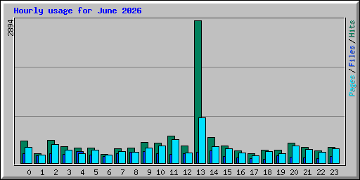 Hourly usage for June 2026
