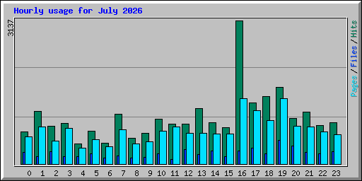 Hourly usage for July 2026