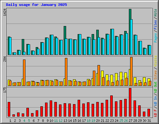 Daily usage for January 2025