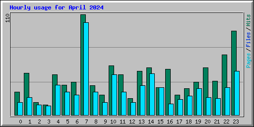 Hourly usage for April 2024