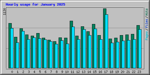 Hourly usage for January 2025