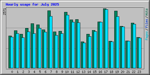 Hourly usage for July 2025