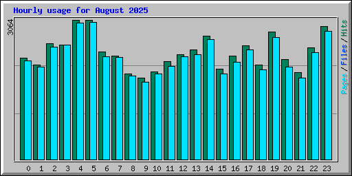 Hourly usage for August 2025