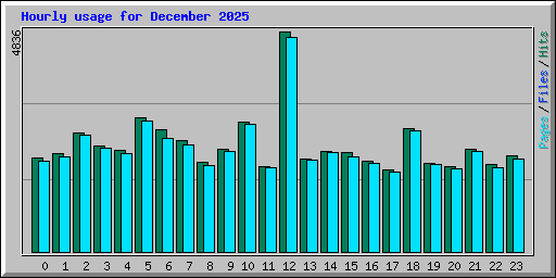 Hourly usage for December 2025