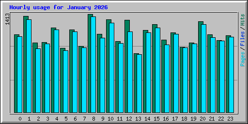 Hourly usage for January 2026